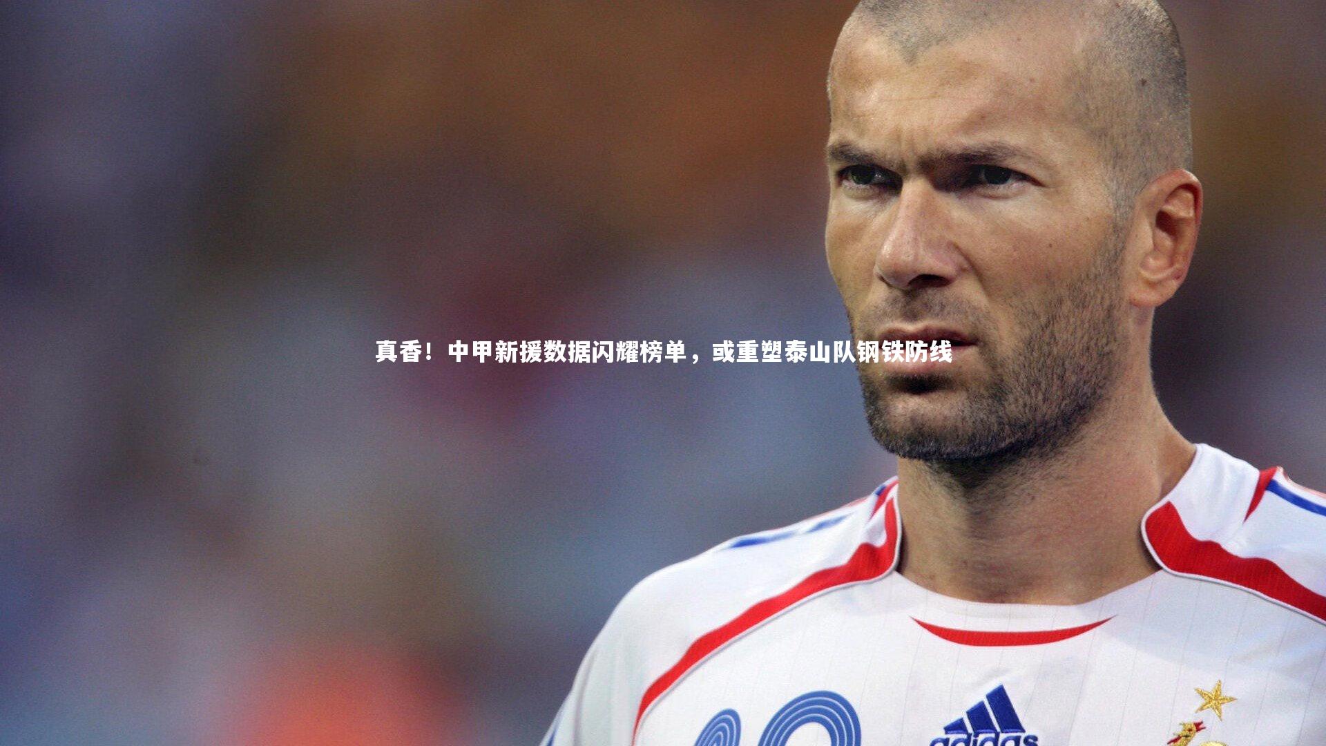 熊猫体育app下载_真香！中甲新援数据闪耀榜单，或重塑泰山队钢铁防线